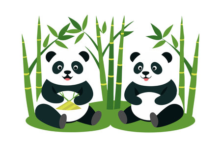 Two pandas sitting and eating bambooのイラスト素材