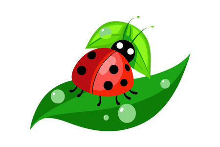 Vibrant illustration of a red ladybug resting on green leaves with water droplets, showing nature and insect life.のイラスト素材