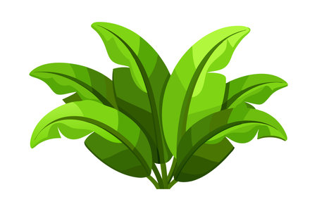 Colorful illustration of a vibrant green plant featuring large, broad leaves, showcased on a clean white background.のイラスト素材