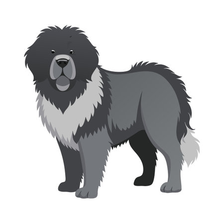 A large dog with a white and black coat stands in front of a white background. The dog has a serious expression on its faceのイラスト素材