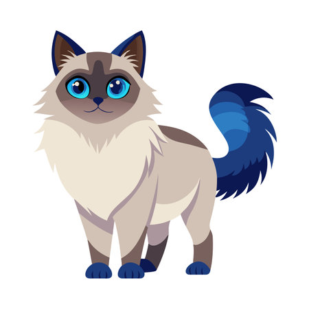A cat with blue and white fur stands in front of a white backgroundのイラスト素材