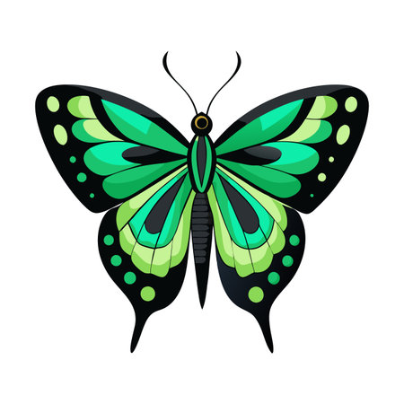 A green and black butterfly with white spots. The butterfly is drawn in a stylized way, with a focus on its wings and body. Scene is calm and serene, as the butterfly is depicted in a peaceful settingのイラスト素材
