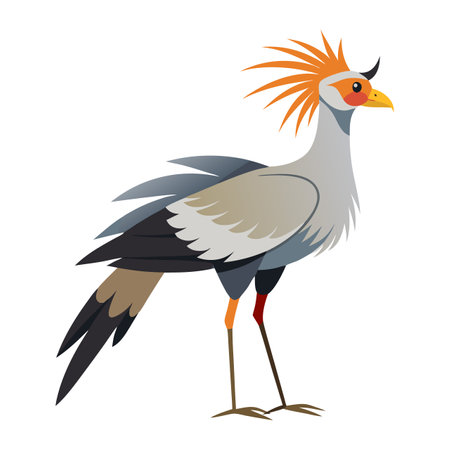 A bird with a long tail and a long neck stands on a white background. The bird has a red beak and orange feathers on its headのイラスト素材