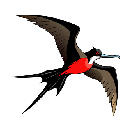 A bird with a red beak flies through the airのイラスト素材