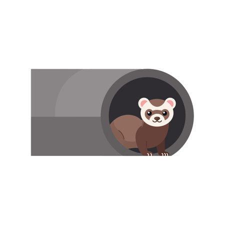 Ferret emerges from the tunnel with curiosity and playfulness.のイラスト素材
