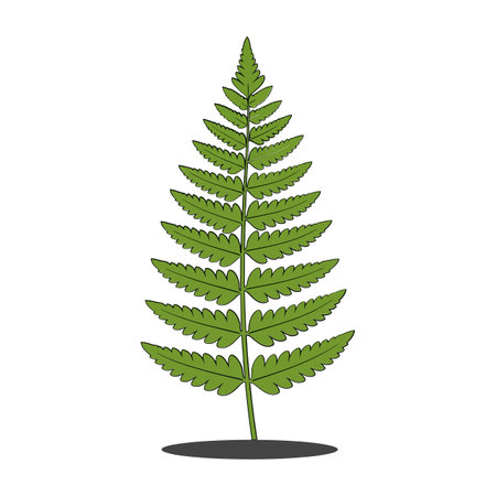 The illustration transitions from a single fern to multiple layered ferns, enhancing depth and visual interest.のイラスト素材