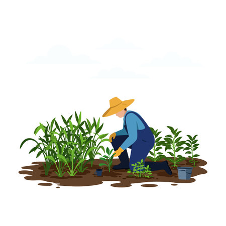 Transition from planting to nurturing young plants in soil.のイラスト素材