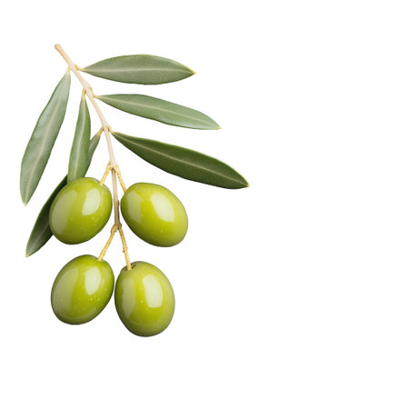 A sprig of fresh green olives with leaves displayed on a transparent background. Perfect for themes related to Mediterranean food, health, and nature.の素材