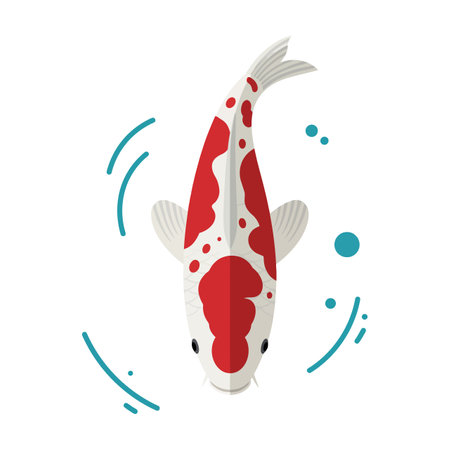 A vibrant koi fish with red and white patterns swims calmly, surrounded by gentle water ripples, exuding tranquility and beauty.のイラスト素材
