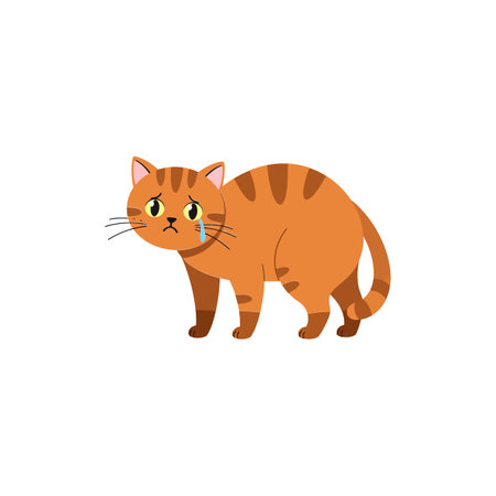 A cute orange tabby cat with stripes and a teardrop, displaying a sad demeanor in a minimalistic style.のイラスト素材