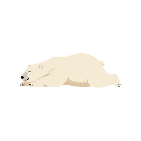 A cute polar bear stretches joyfully on its belly, showing a relaxed expression in a simple, minimalist design.のイラスト素材