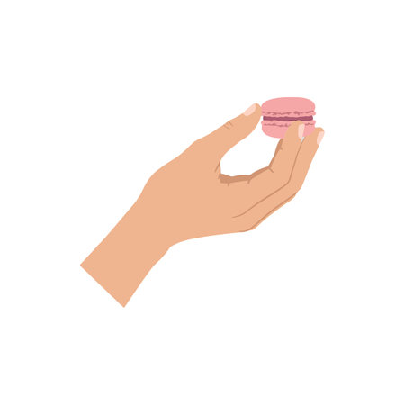 A hand delicately grasps a pink macaron, showing its texture and color in a clean, minimalistic style.のイラスト素材