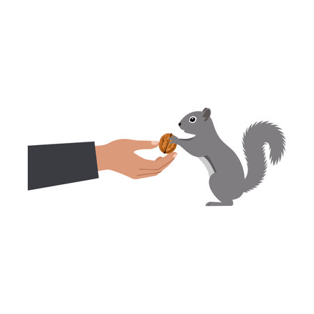 A playful gray squirrel eagerly reaches out to grab a nut offered by a hand, creating a joyful and heartwarming scene.のイラスト素材