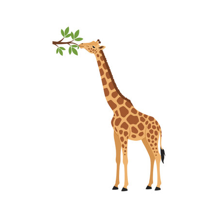 A tall giraffe stretches its long neck to nibble on green leaves, embodying a serene and peaceful mood in a natural setting.のイラスト素材