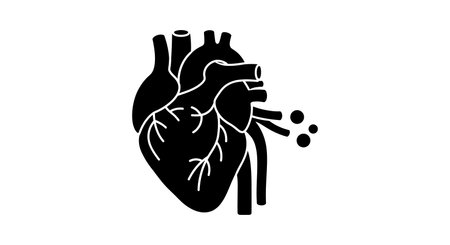 A detailed representation of a human heart with visible arteries and veins, emphasizing anatomical accuracy in a minimalistic approach.のイラスト素材