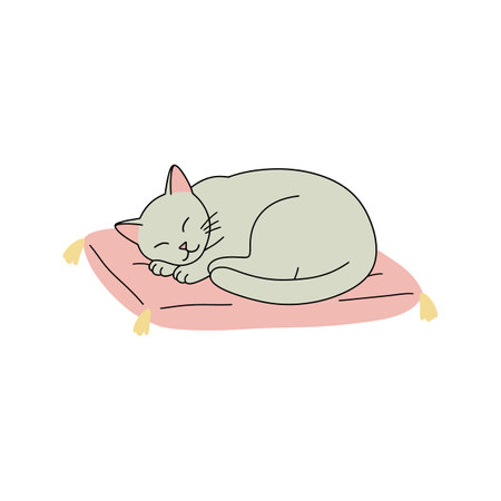 A serene gray cat sleeps peacefully on a soft pink cushion, exuding tranquility and comfort in a minimalistic design.のイラスト素材