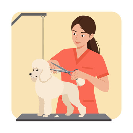 Woman in orange uniform carefully cuts the fur of a white poodle standing on a grooming table, creating a calm and focused atmosphere.のイラスト素材
