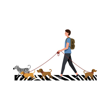 A person walks three dogs and a small zebra on leashes across a zebra crossing in a simple vector style, conveying calm and orderly mood.のイラスト素材