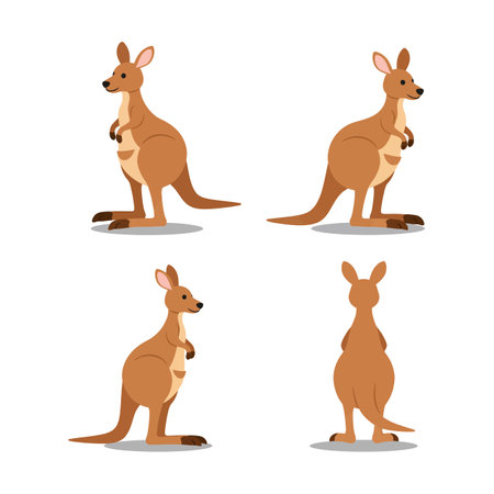 Kangaroo vector illustration shows four different poses with neutral background, suitable for t-shirt prints and creative projects. Cheerful and versatile.のイラスト素材