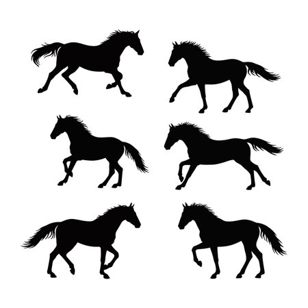 This vector features six black horse silhouettes in different running and walking poses on a white background, showing movement and grace. Calm mood.のイラスト素材