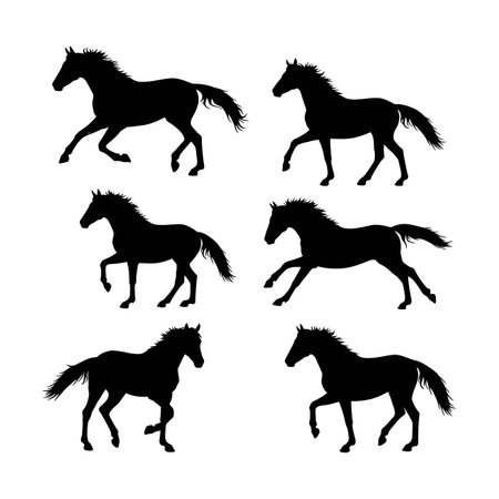 Set of six black horse silhouettes showing different running and walking poses in vector style on white background. Dynamic and elegant.のイラスト素材