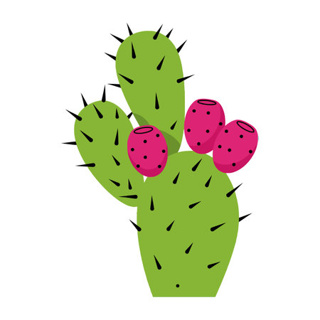 Vector illustration shows a green prickly pear cactus with red fruit and black spines in a minimalist style, creating a bright and natural mood.のイラスト素材