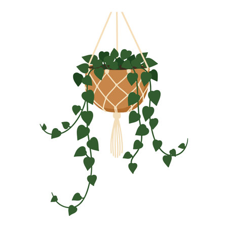 This vector shows a hanging pothos plant in a macrame pot holder with green leaves cascading down, creating a fresh indoor decorative vibe. Calm.のイラスト素材