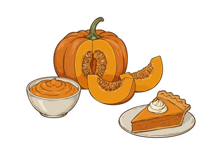 Illustration shows whole pumpkin, sliced pumpkin, bowl of pumpkin puree, and pumpkin pie slice on a plate, evoking cozy autumn mood.のイラスト素材