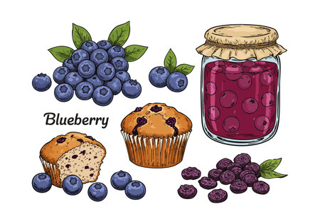 Illustration shows fresh blueberries, blueberry muffins, and a jar of blueberry jam in a natural style. The mood is cozy.のイラスト素材