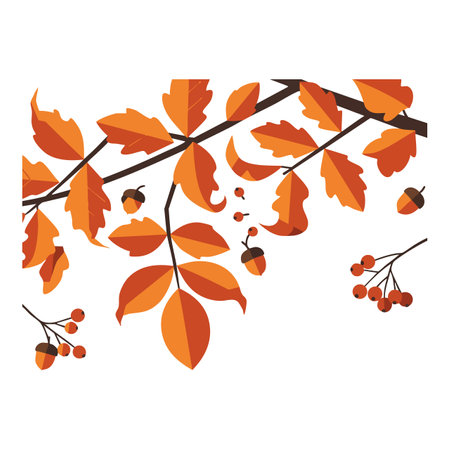 Vector shows an autumn branch with orange leaves and brown acorns in a clean style, conveying a calm seasonal mood.のイラスト素材