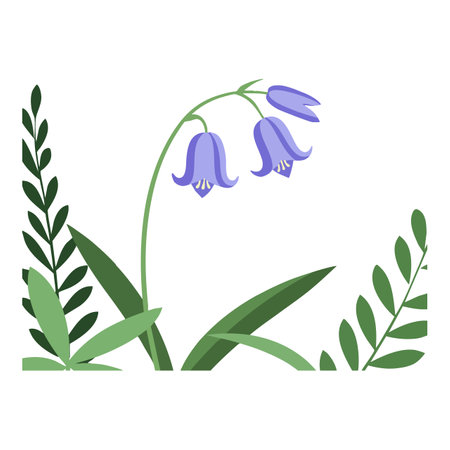 Vector illustration shows bluebell flower with green leaves in simple flat style on white background calm and peaceful mood.のイラスト素材