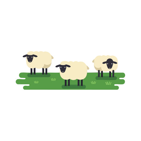 Illustration shows three sheep standing on green grass pasture, representing farm animals in a simple flat style, calm scene.のイラスト素材