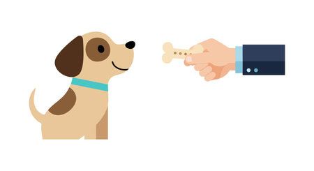 A cute dog with brown spots wearing a blue collar looks happily at a hand holding a bone treat in a flat style. Cheerful mood.のイラスト素材