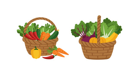 This vector illustration shows two baskets filled with fresh vegetables including carrots, peppers, beets, and leafy greens in a colorful composition. Cheerful.のイラスト素材