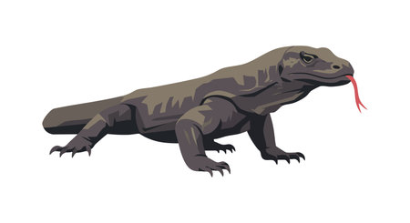 Komodo dragon lizard depicted in brown tones with realistic features and a red forked tongue, set against a white background. Naturalistic and calm.のイラスト素材