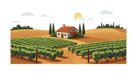 Illustration shows vineyard with green grapevines and small house under sunset sun with clouds in countryside setting, peaceful mood.のイラスト素材