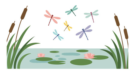 Vector illustration shows colorful dragonflies flying over a calm pond with water lilies and cattails, creating a peaceful natural scene. Calm mood.のイラスト素材