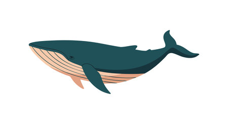 Illustration shows blue whale swimming calmly in ocean with natural colors and simple style, creating peaceful and serene mood.のイラスト素材