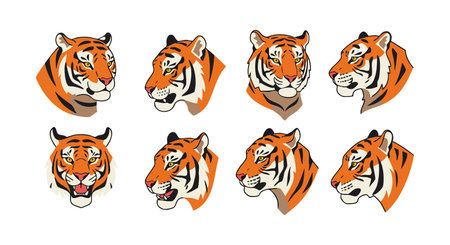 Vector illustration shows eight tiger heads with different facial expressions and side views in orange and black tones. Fierce and dynamic mood.のイラスト素材