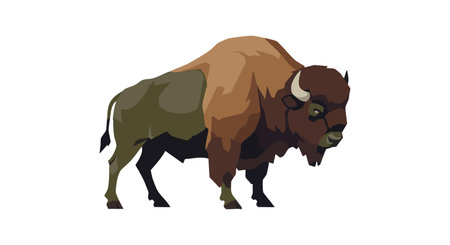 Vector illustration shows American bison standing with a strong posture in brown and olive colors, conveying a natural and calm mood.のイラスト素材