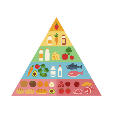 This vector shows a colorful food pyramid with fruits, vegetables, dairy, meat, and grains arranged by food groups in a balanced diet, informative and clear.のイラスト素材
