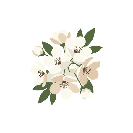 Vector shows a white and beige flower bouquet with green leaves arranged in a natural style. Calm and elegant mood.のイラスト素材