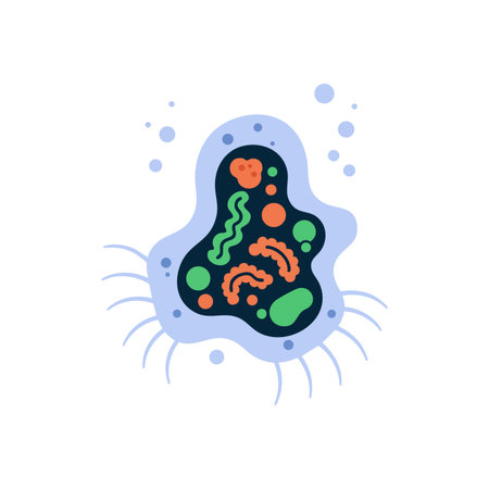 Illustration shows a single cell microorganism with orange and green internal parts and blue flagella in a simple style, scientific and educational mood.のイラスト素材