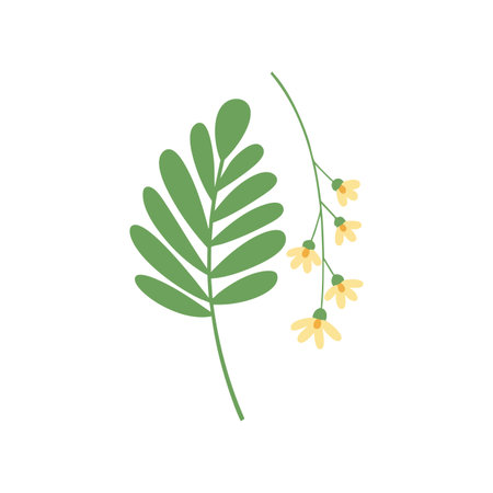 Vector illustration shows a green leaf and delicate yellow flower branch with thin stem on white background calm and natural mood.のイラスト素材