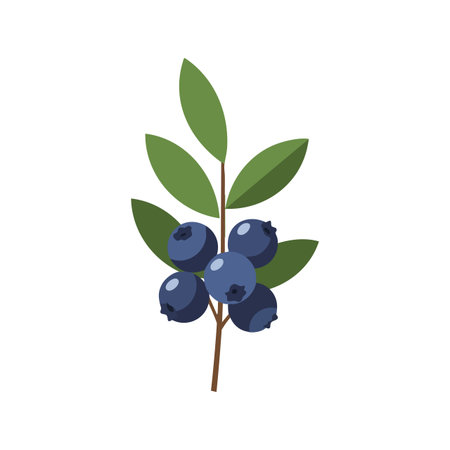 Vector illustration shows a blueberry branch with ripe blueberries and green leaves in natural colors, presenting a fresh and simple design. Calm.のイラスト素材