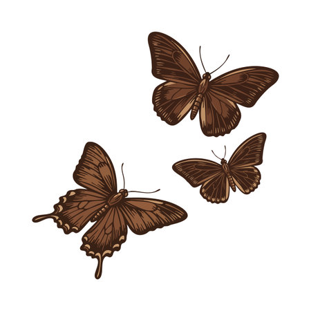 This vector illustration shows three brown butterflies flying with delicately detailed wings and bodies in a natural style, creating a calm atmosphere.のイラスト素材