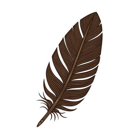Brown feather vector shows detailed lines and natural texture on white background, suitable for creative and decorative uses. Calm and artistic mood.のイラスト素材