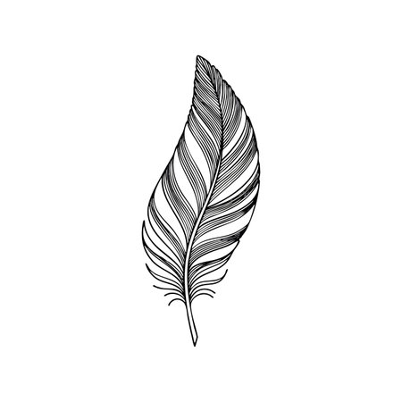 This vector features a detailed feather with fine lines and elegant curves, suitable for artistic and decorative uses, evoking a delicate and refined mood.のイラスト素材
