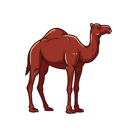 Brown camel stands calmly facing right with shadows and highlights in a clean vector style. The mood is natural and serene.のイラスト素材