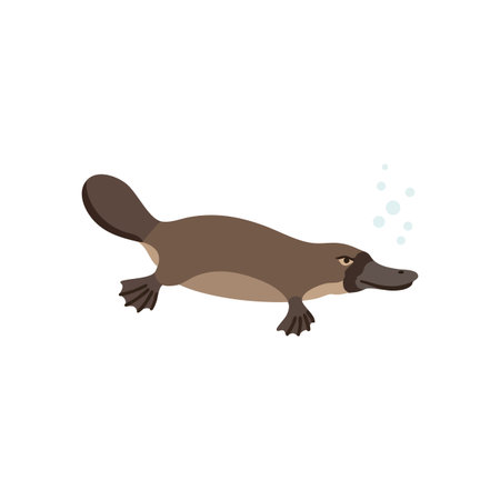 This vector shows a platypus swimming underwater with bubbles rising, depicting a calm aquatic wildlife scene. Peaceful mood.のイラスト素材